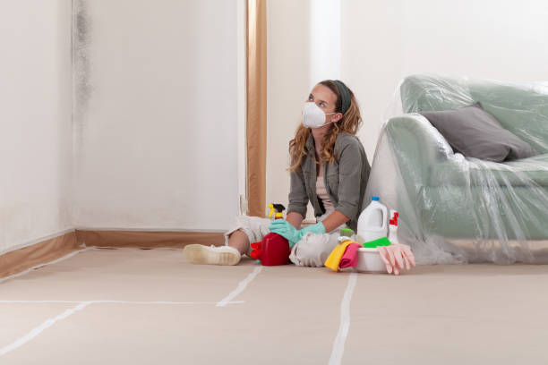 Reliable Mold Cleanup contractor in Needham, MA by Cheap Mold Removal
